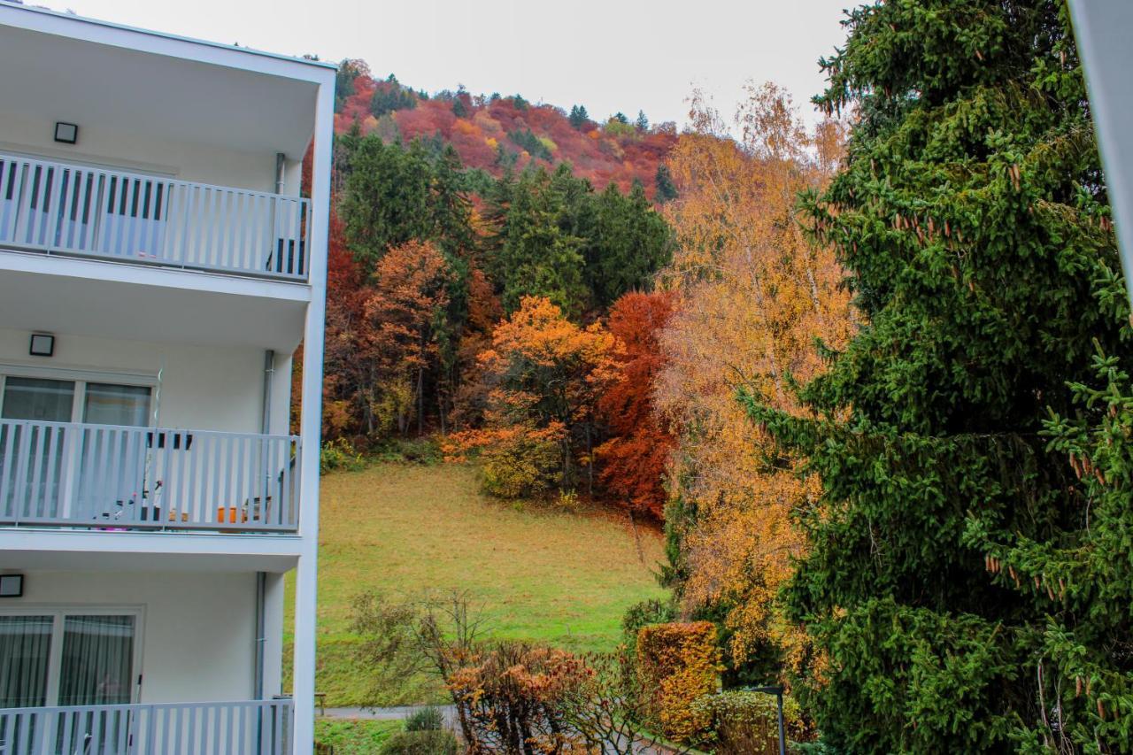 Green Mountain Sallanches Dış mekan fotoğraf